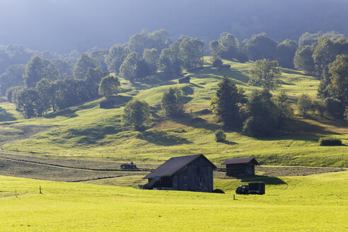 Österreich, Vorarlberg, Blick auf Landschaft mit Hütte - SIEF003535