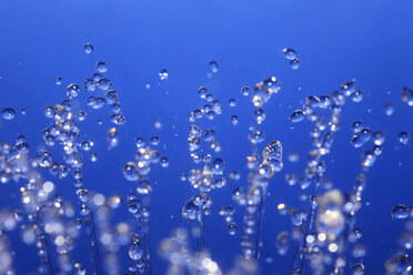 Splashing water against blue background - JTF000306