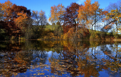 Deutschland, Bayern, Blick auf den See im Herbst - MOF000178