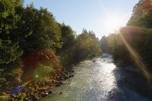 Österreich, Vorarlberg, Blick auf den Bolgenachbach im Bregenzer Wald - SIEF003558