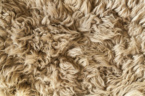 Hair of sheep, close up - TD000015