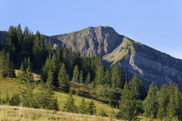 Österreich, Vorarlberg, Blick auf den Wannenkopf im Bregenzer Wald - SIEF003564