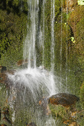 Österreich, Vorarlberg, Wasserfall auf Bergbach und Moos im Bregenzer Wald - SIEF003566