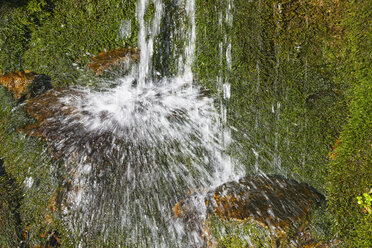 Österreich, Vorarlberg, Wasserfall auf Bergbach und Moos im Bregenzer Wald - SIEF003567