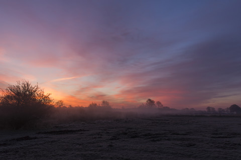 Germany, Lower saxony, View of sunrise stock photo