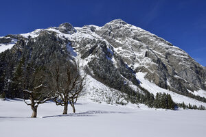 Österreich, Tirol, Blick auf das Karwendelgebirge - ESF000346