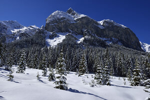 Österreich, Tirol, Blick auf das Karwendelgebirge - ESF000351