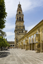 Spanien, Andalusien, Cordoba, Blick auf Innenhof der Mezquita mit Kirchturm - MS002858