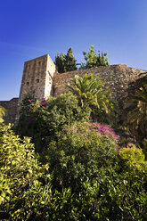 Spanien, Andalusien, Blick auf die maurische Festung Alcazaba in Malaga - MS002872