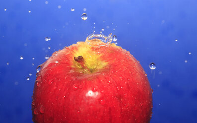 Apfel mit Wassertropfen vor blauem Hintergrund - JTF000337