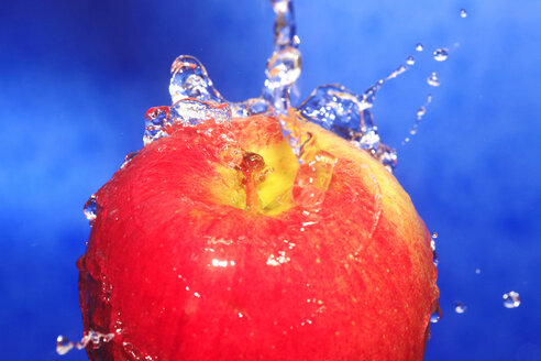 Apfel mit Wassertropfen vor blauem Hintergrund - JTF000338