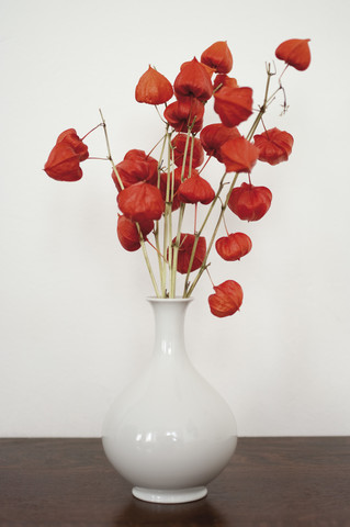 Deutschland, Hessen, Frankfurt, Blasen-Kirschblüten in Vase auf Tisch, lizenzfreies Stockfoto