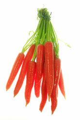 Bunch of fresh carrots, close up - JTF000354