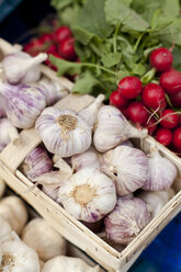 Germany, Duesseldorf, Basket of garlics with radishes - KVF000002