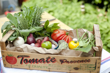 Germany, Duesseldorf, Variety of vegetables in basket, close up - KVF000007