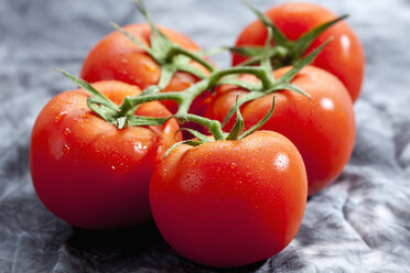 Vine tomatoes on grey background, close up - CSF018094