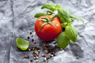 Strauchtomate mit Basilikumkraut und bunten Pfefferkörnern auf grauem Hintergrund, Nahaufnahme - CSF018095