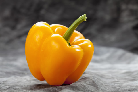 Gelbe Paprika auf grauem Hintergrund, Nahaufnahme, lizenzfreies Stockfoto