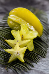 Sternfruchtscheibe auf Palmblatt, Nahaufnahme - CSF018217