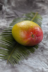 Mango auf Palmblatt auf grauem Hintergrund, Nahaufnahme - CSF018218