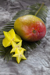 Sternfrucht in Scheiben geschnitten mit Mango auf Palmblatt auf grauem Hintergrund, Nahaufnahme - CSF018219