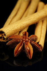 Star anise with cinnamon sticks on black background, close up - HOHF000134