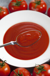 Löffel und Teller mit Tomatensauce und Strauchtomaten, Nahaufnahme - CSF018456