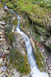 Austria, Vorarlberg, View of Burser Schlucht - SIEF003605