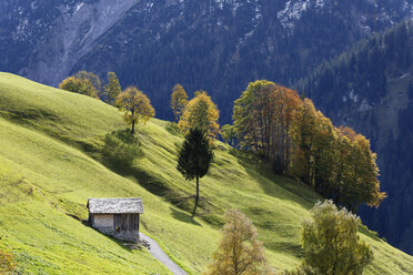 Austria, Vorarlberg, View of mountain pasture in Marul - SIEF003618