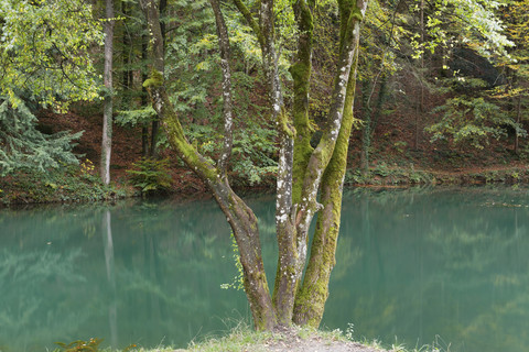 Österreich,Vorarlberg, Blick auf den Schwarzer See bei Satteins,, lizenzfreies Stockfoto