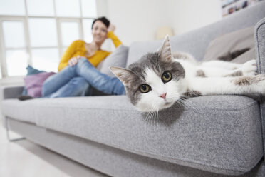 Germany, Bavaria, Munich, Mid adult woman with cat on couch, smiling - RBF001295