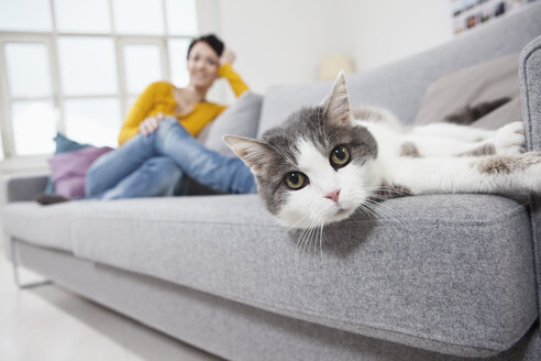 Deutschland, Bayern, München, Mittlere erwachsene Frau mit Katze auf Couch, lächelnd - RBF001295