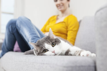 Deutschland, Bayern, München, Mittlere erwachsene Frau mit Katze auf Couch - RBF001260