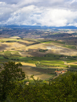 Italien, Blick auf die Toskana von Montalcino aus - LF000530