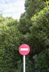 Spain, Road sign against trees - WWF002786