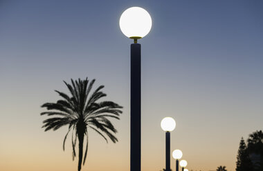 Spain, View of lantern and palm tree at Costa del Sol - WWF002888