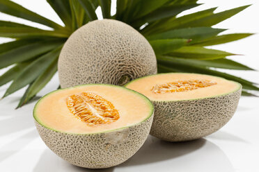 Cantaloupe-Melonen auf weißem Hintergrund, Nahaufnahme - CSF018536