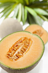 Cantaloupe-Melonen auf weißem Hintergrund, Nahaufnahme - CSF018538