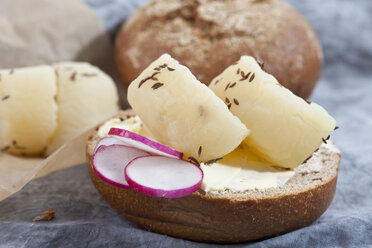 Rye roll with Harzer Roller cheese and caraway on textile, close up - CSF018521