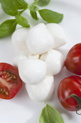 Mozzarella-Käsekugeln, Tomaten und Basilikumkraut auf einem Teller, Nahaufnahme - CSF018524