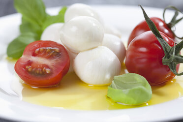 Mozzarella-Käsekugeln, Tomaten, Olivenöl und Basilikumkraut auf einem Teller, Nahaufnahme - CSF018530