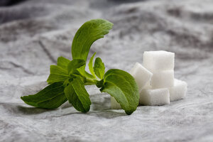 Stevia rebaudiana with cubes of sugar on textile - CSF018633