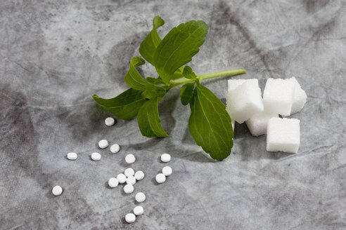 Stevia rebaudiana mit Würfelzucker und Süßstofftabletten auf Textil - CSF018634