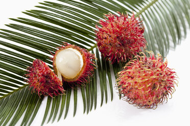 Rambutan-Früchte auf Palmwedel, Nahaufnahme - CSF018704