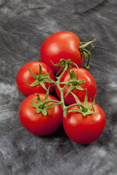 Vine tomatoes on textile, close up - CSF018679