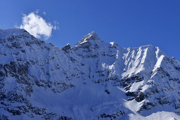 Österreich, Tirol, Blick auf die Birkkarspitze höchster Gipfel des Karwendelgebirges - ESF000369