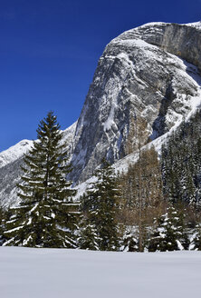 Österreich, Tirol, Blick auf Lawinenabgänge am Barenwand-Kopf im Karwendelgebirge - ESF000372