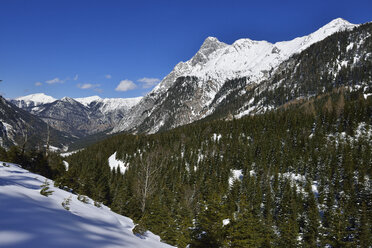 Austria, Tyrol, View of Johannestal with Risser Falk near Karwendel Mountain - ESF000375