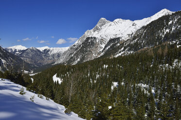 Österreich, Tirol, Blick auf das Johannestal mit Risser Falk am Karwendelgebirge - ESF000375