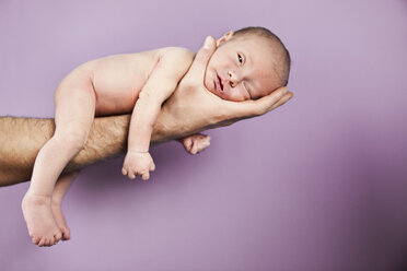 Neugeborenes Baby auf dem Arm des Vaters liegend vor lila Hintergrund, Nahaufnahme - MFF000528